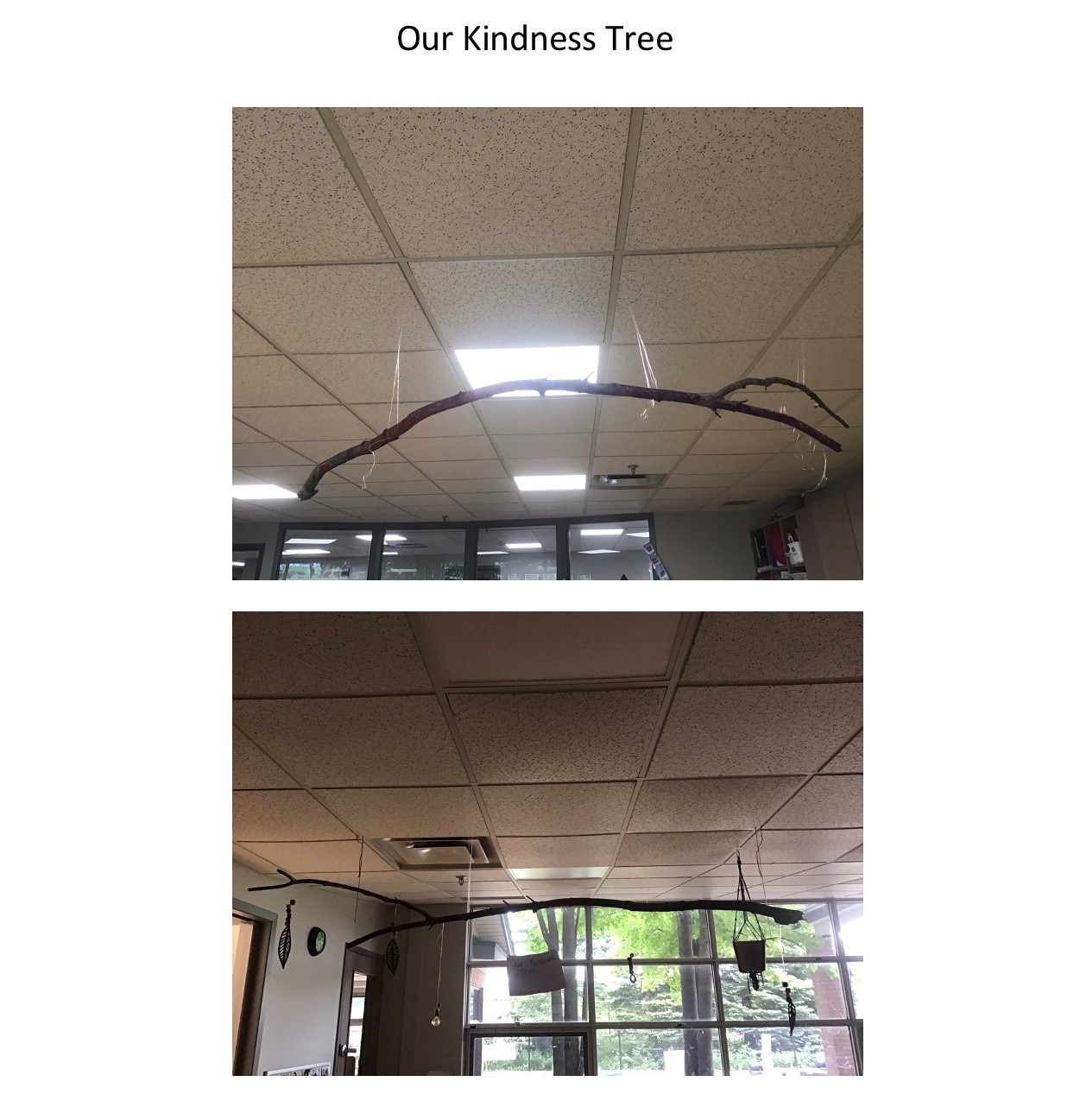 A branch hangs from the ceiling with a window behind it in two different images. The first image the branch is plain, the second has a paper hanging from it with the words, "Our kindness tree" written.